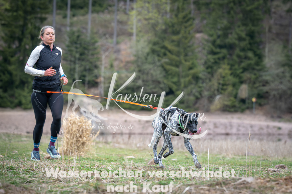 1810_ZZ94387 | kk-dogfotos