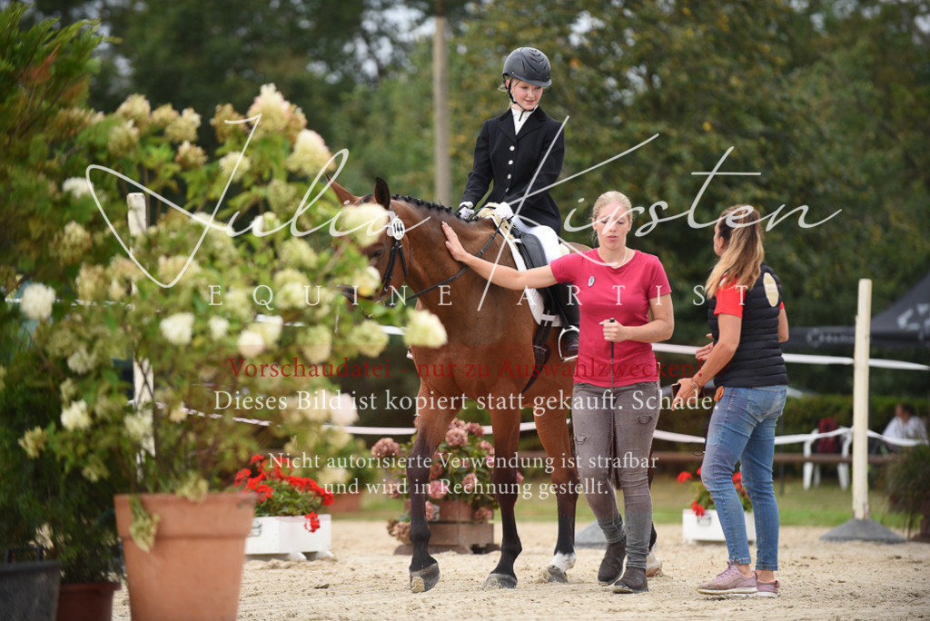DSC_8049 | Pferde- und Turnierfotografie in Westsachsen. Pferdeportraits, Auftragszeichnungen und intuitive Kunst.