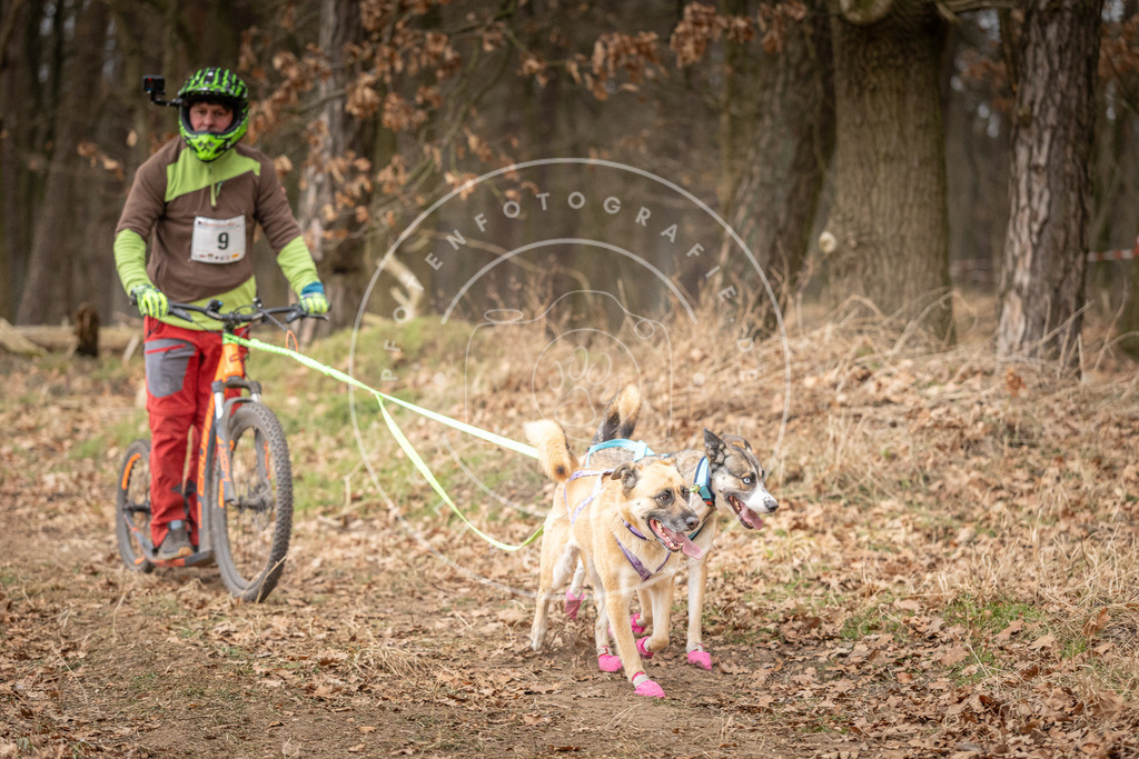 Pfotenfotografie_DV3A2341 | Hundefotografie, Tierfotograf, Pfotenfotografie, Fotoshooting Hund, Hunde Portrait, Hundesport, Hundeportraits, Heideshooting, Hunde, Sportfotograf, Hundefotograf, Turnierhundsport, THS,  - Realisiert mit Pictrs.com