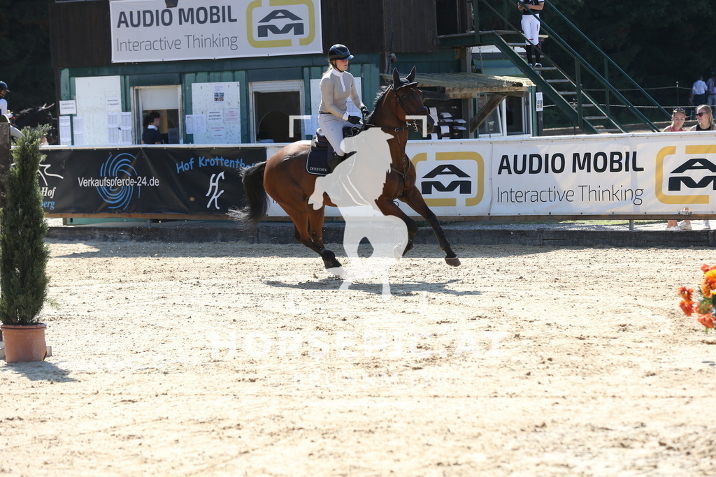 DL2Q4705 | Willkommen bei Brunnmayr - Design & Fotografie – Ihrem Spezialisten für Reitturniere und Pferdeveranstaltungen in Oberösterreich, Salzburg und Bayern! Seit über 17 Jahren sind wir leidenschaftlich dabei.