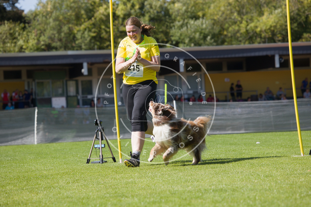 0L8A5905 | Hundefotografie, Tierfotograf, Pfotenfotografie, Fotoshooting Hund, Hunde Portrait, Hundesport, Hundeportraits, Heideshooting, Hunde, Sportfotograf, Hundefotograf, Turnierhundsport, THS,  - Realisiert mit Pictrs.com