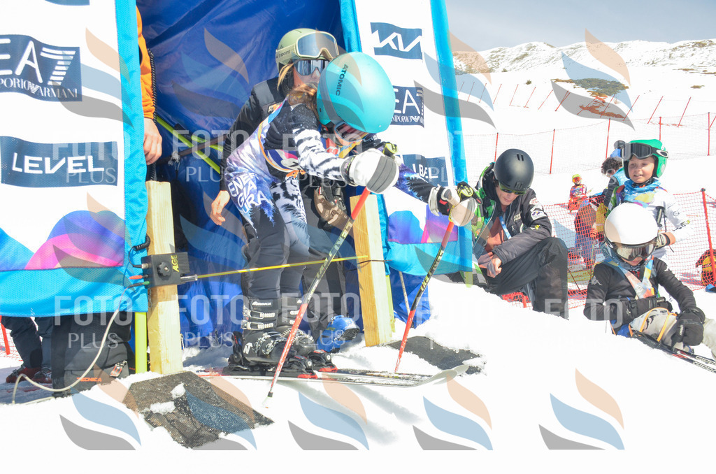 _ELE6145 | holidayphoto