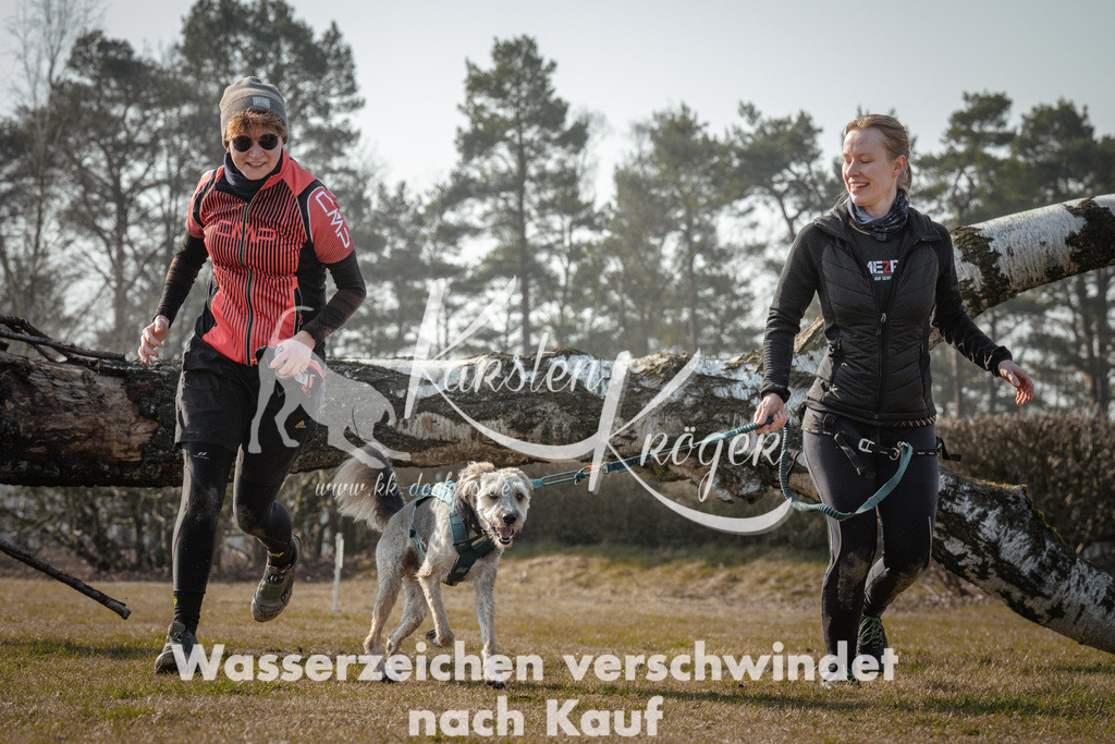 1017_ZZ92291 | kk-dogfotos