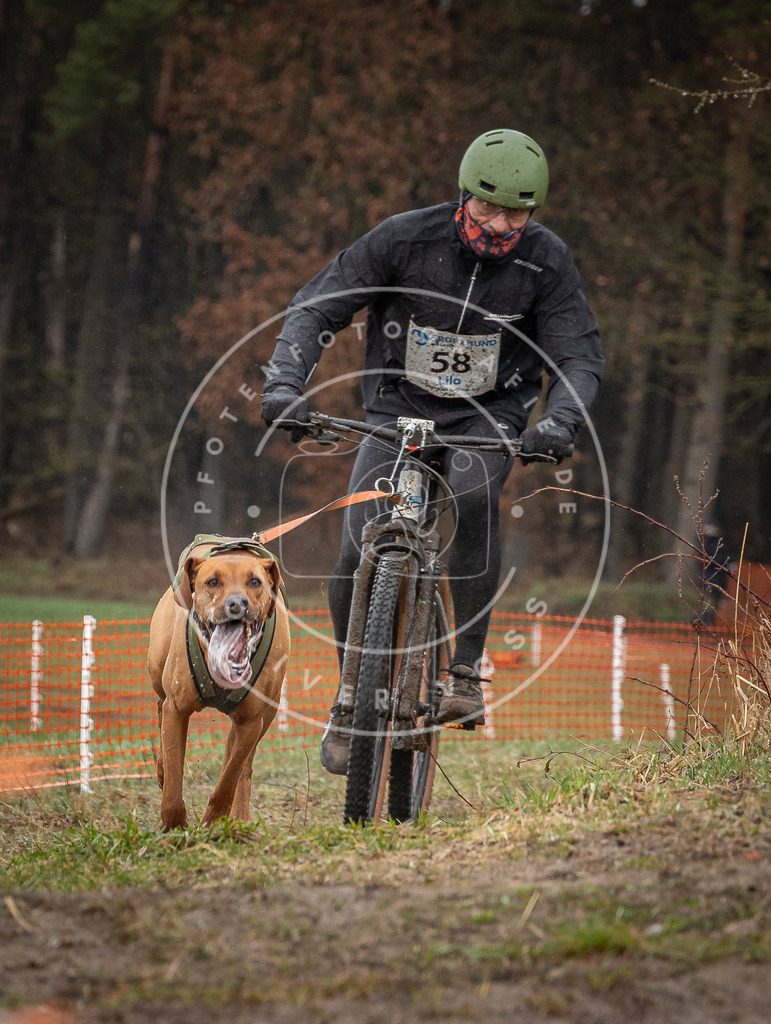 0L8A8959 | Hundefotografie, Tierfotograf, Pfotenfotografie, Fotoshooting Hund, Hunde Portrait, Hundesport, Hundeportraits, Heideshooting, Hunde, Sportfotograf, Hundefotograf, Turnierhundsport, THS,  - Realisiert mit Pictrs.com