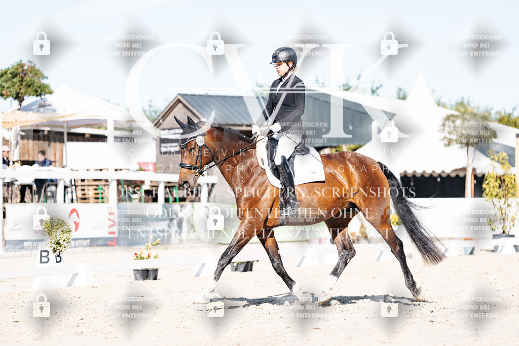 CK907957 | Turnierfotografie Pferdefotografie Trier Rheinland-Pfalz Pferdesport Reitsport Tierfotografie Sportfotografie Pferdevideo Pferdevideografie Equestrianvideography equestrianphotography  - Realisiert mit Pictrs.com