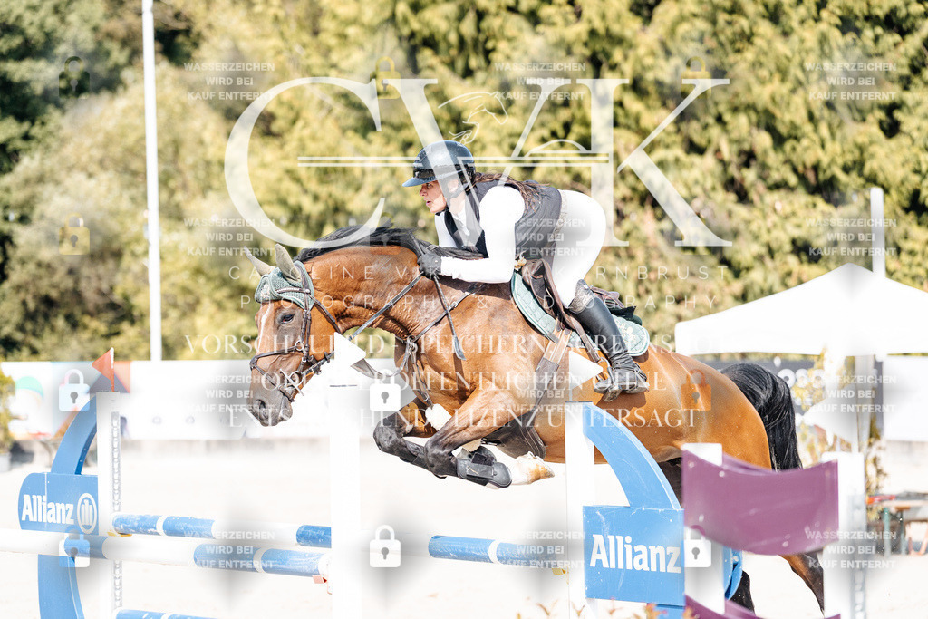 CK902457 | Turnierfotografie Pferdefotografie Trier Rheinland-Pfalz Pferdesport Reitsport Tierfotografie Sportfotografie Pferdevideo Pferdevideografie Equestrianvideography equestrianphotography  - Realisiert mit Pictrs.com