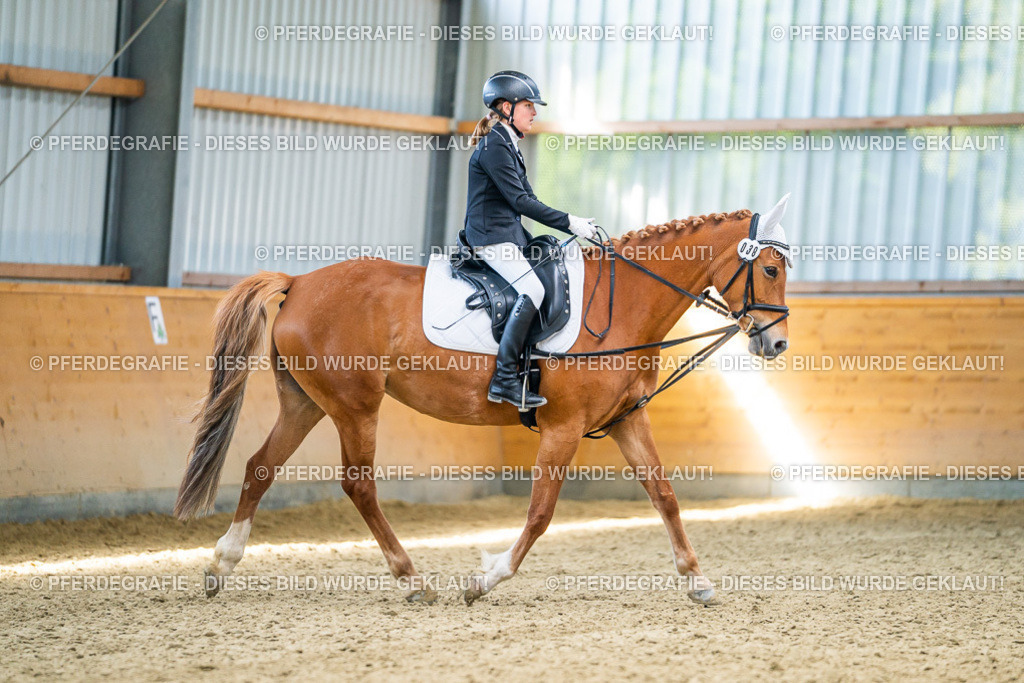 DSC02915 | Pferdegrafie