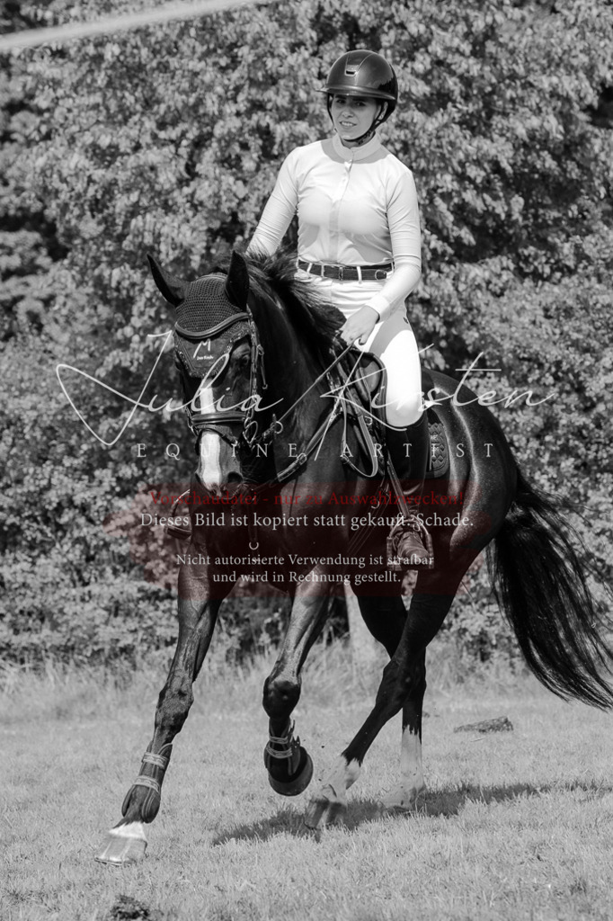 DSC_0811 | Pferde- und Turnierfotografie in Westsachsen. Pferdeportraits, Auftragszeichnungen und intuitive Kunst.