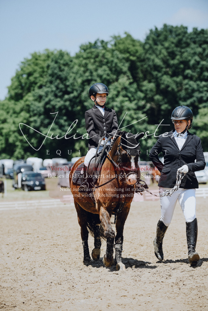DSC_2227 | Pferde- und Turnierfotografie in Westsachsen. Pferdeportraits, Auftragszeichnungen und intuitive Kunst.