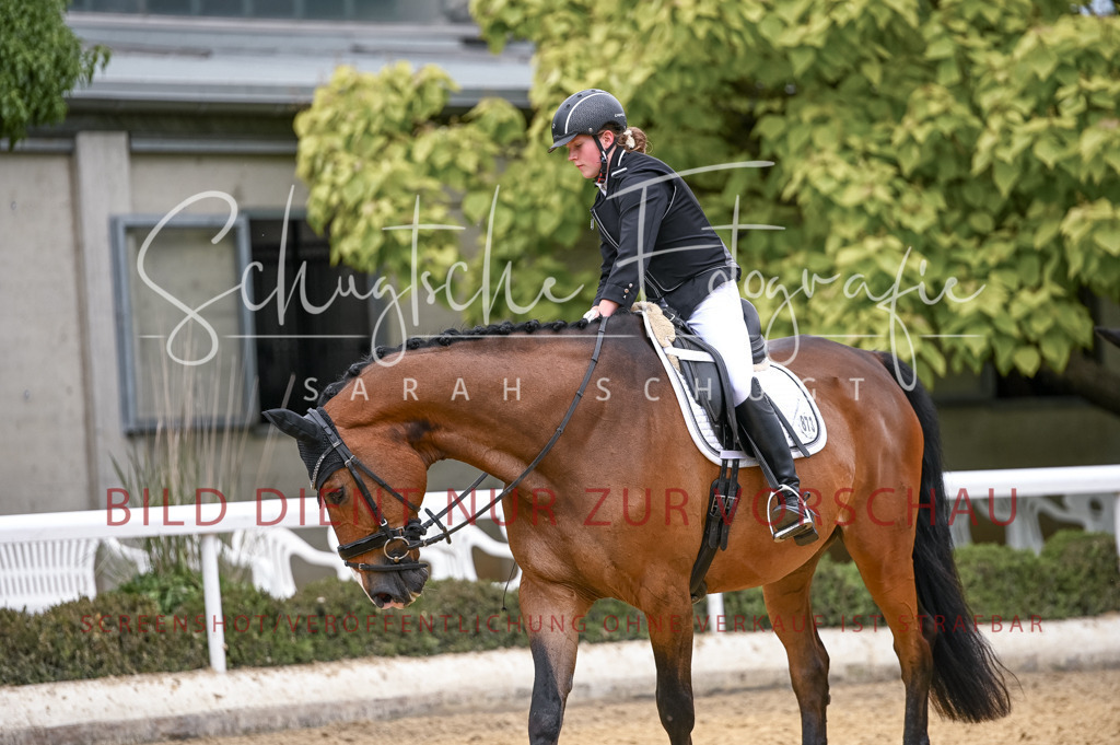 Schugtsche-Aluta25-44.DresssurreiterWB-212 | Schugtsche Fotografie - Realisiert mit Pictrs.com