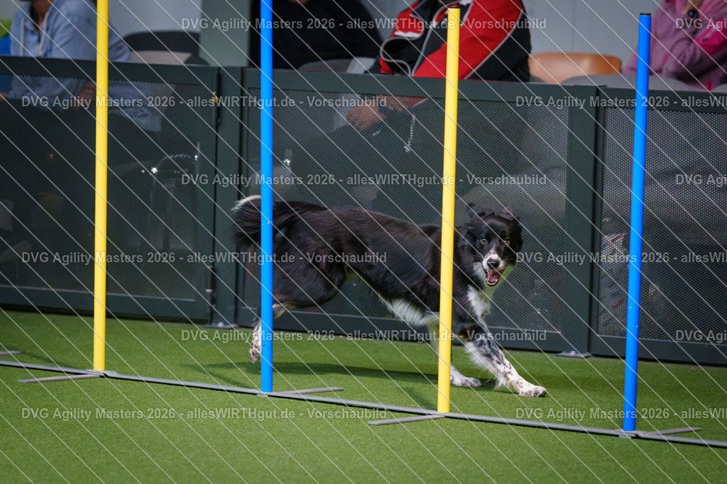 allesWIRTHgut_Tierfotografie-DVG_Agility_Masters_2026-14_29-7R500508 | Professionelle Tierfotografie in Mönchengladbach von Daniel Wirth (allesWIRTHgut). Liebevolle & natürliche Bilder von Hunden & Katzen für unvergessliche Erinnerungen.