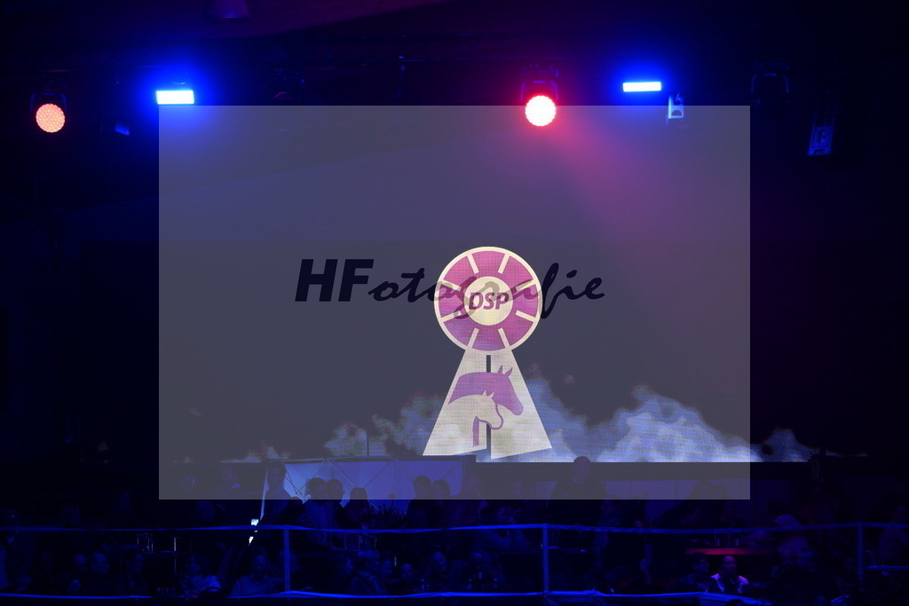 DSP_Logo_2254265 | hf-fotografie - Realizzato con Pictrs.com