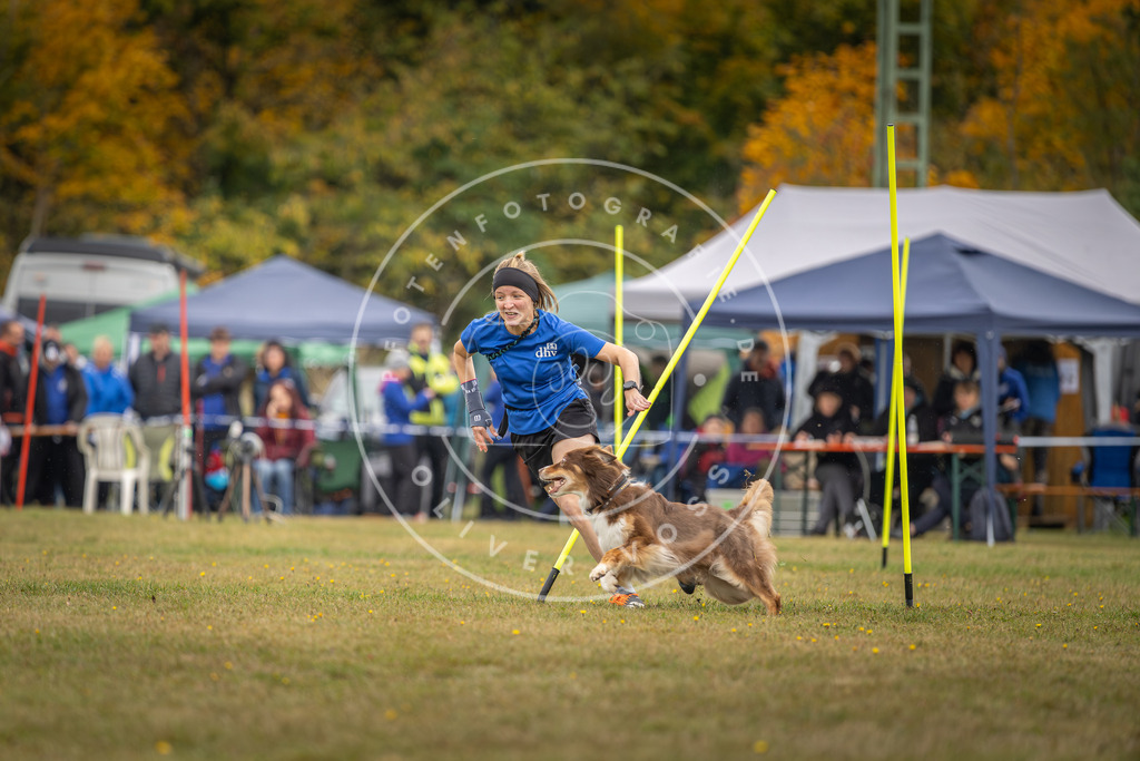 Pfotenfotografie_DV3A3611 | Hundefotografie, Tierfotograf, Pfotenfotografie, Fotoshooting Hund, Hunde Portrait, Hundesport, Hundeportraits, Heideshooting, Hunde, Sportfotograf, Hundefotograf, Turnierhundsport, THS,  - Realisiert mit Pictrs.com