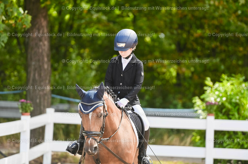 20230716_10-3_Reiter-WB Schritt - Trab - Galopp_0001 | equistock