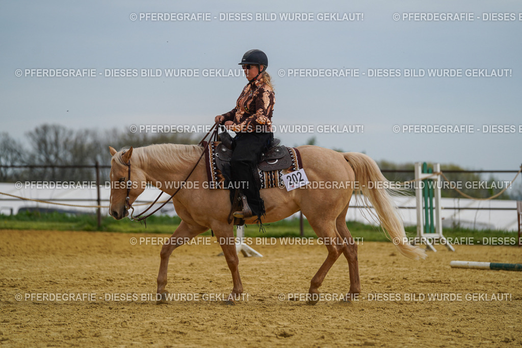 DSC02243 | Pferdegrafie