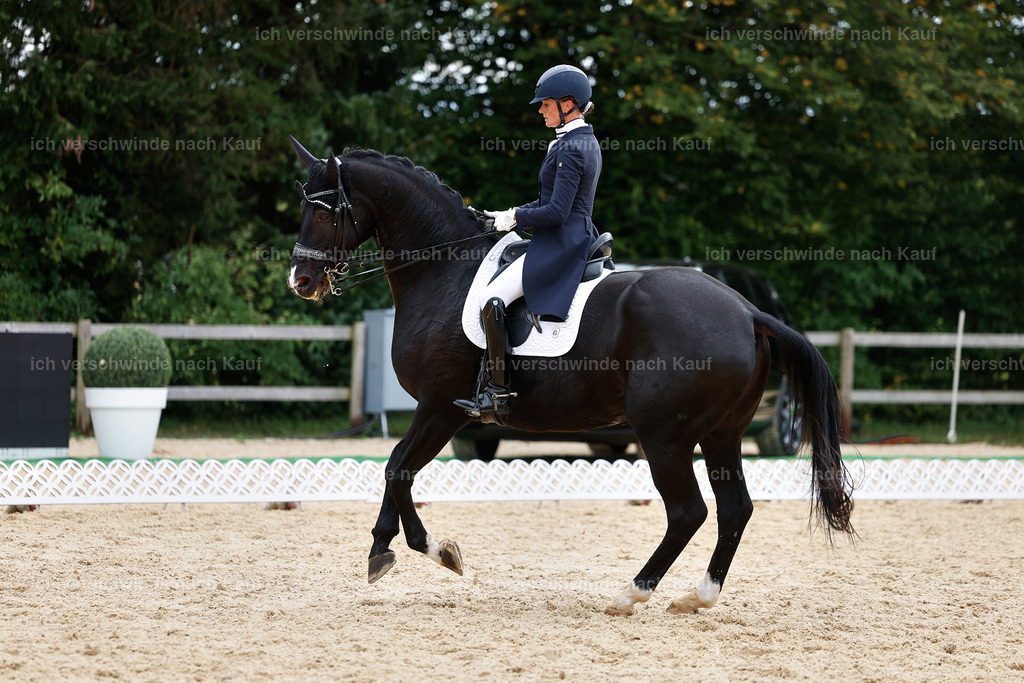 11-042-Dressur S___-StoibPH-1194 | working equitationturnier fotograf videograf stoibphotography marixx film working equitation deutschland reitsport turnierfotografie eventfotografie equestrian events