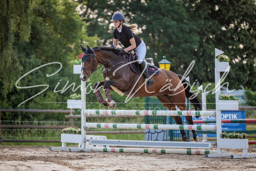 20260529-_3LI1220 | Tierfotografie Pferde, Hunde, Katzen, Haustiere.
Turnierfotografie Reitturniere, Reiten, Springreiten, Dressur in Hanau, dem Main-Kinzig-Kreis und dem Rhein-Main- Gebiet um Frankfurt