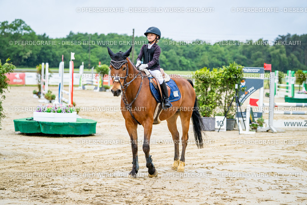 DSC01322 | Pferdegrafie