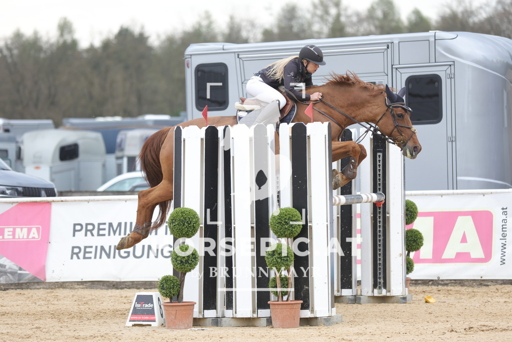 0P6A4442 | Willkommen bei Brunnmayr - Design & Fotografie – Ihrem Spezialisten für Reitturniere und Pferdeveranstaltungen in Oberösterreich, Salzburg und Bayern! Seit über 17 Jahren sind wir leidenschaftlich dabei.