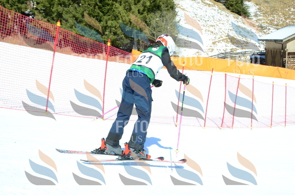 C5904 | holidayphoto