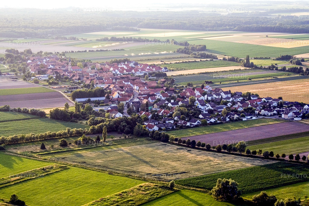 Luftbild: Ortsansicht von Südosten in Erlenbach bei Kandel im Bundesland Rheinland-Pfalz in Deutschland. Foto: IMG_3305.jpg vom 04.07.2006 durch Werner Riehm/FLY-FOTO.de