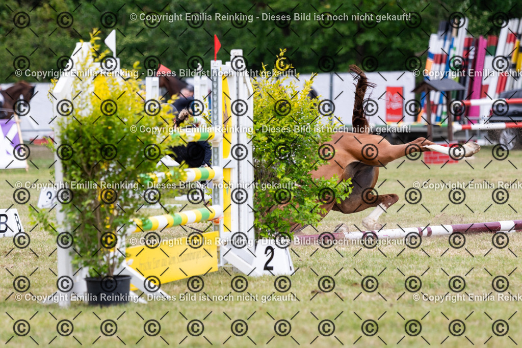 CL5A8281 | Emilia Reinking Fotografie - Realisiert mit Pictrs.com