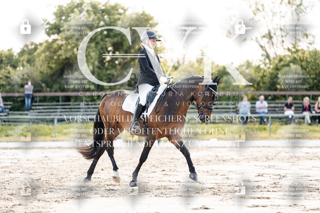 CK909489 | Turnierfotografie Pferdefotografie Trier Rheinland-Pfalz Pferdesport Reitsport Tierfotografie Sportfotografie Pferdevideo Pferdevideografie Equestrianvideography equestrianphotography  - Realisiert mit Pictrs.com