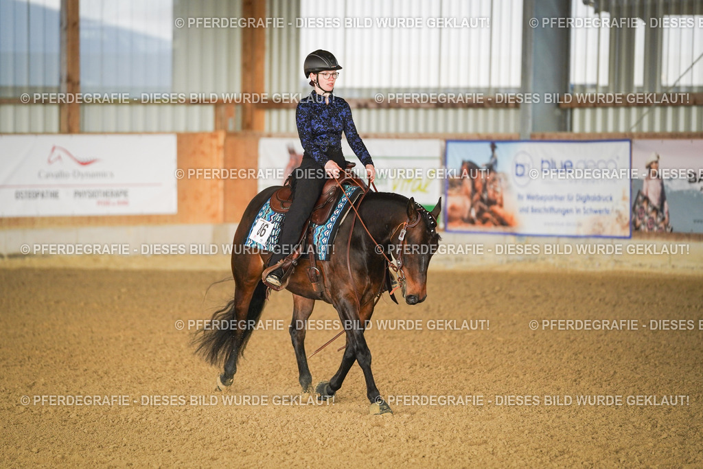 DSC08170 | Pferdegrafie