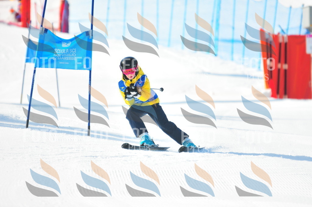 B8790 | holidayphoto