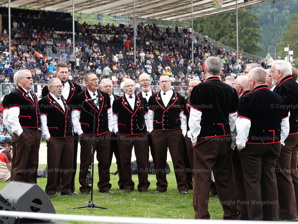 DSC08366 | Schwingen - Realisiert mit Pictrs.com