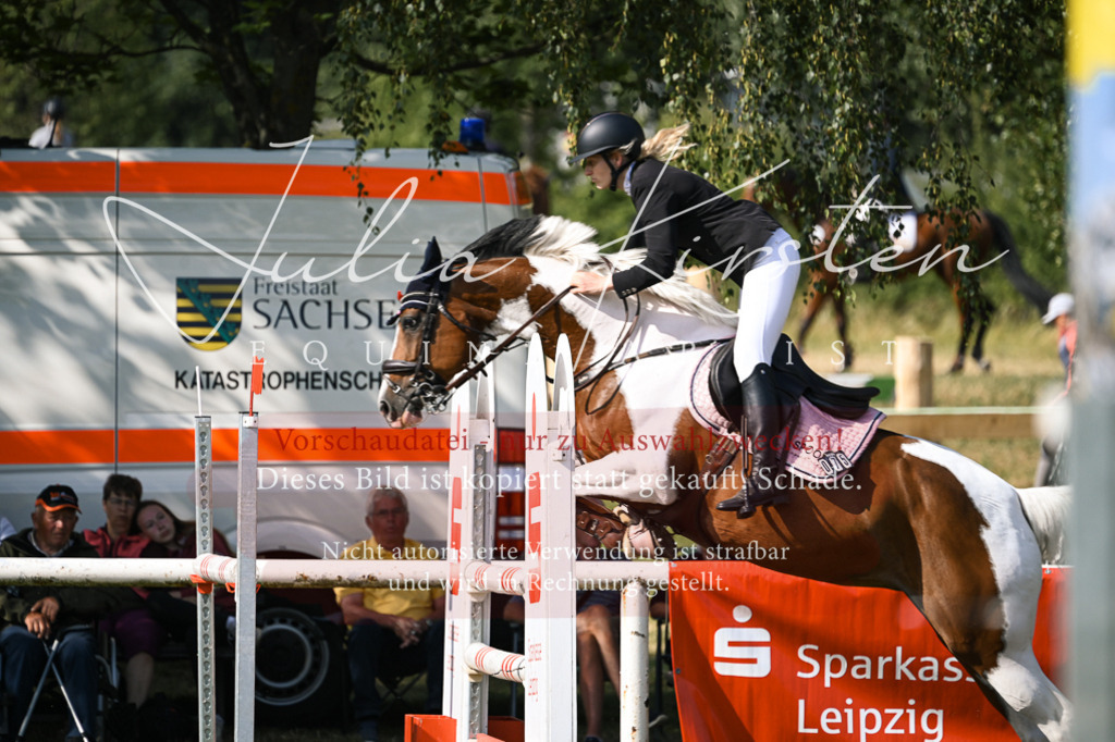 DSC_1102 | Pferde- und Turnierfotografie in Westsachsen. Pferdeportraits, Auftragszeichnungen und intuitive Kunst.