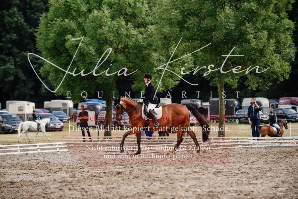 DSC_9767 | Pferde- und Turnierfotografie in Westsachsen. Pferdeportraits, Auftragszeichnungen und intuitive Kunst.