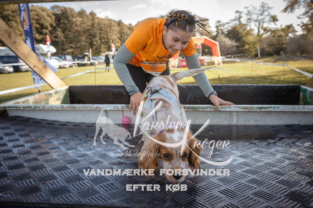 1222_ZZ95913 | kk-dogfotos