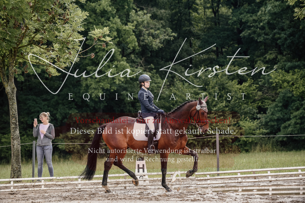 DSC_8657 | Pferde- und Turnierfotografie in Westsachsen. Pferdeportraits, Auftragszeichnungen und intuitive Kunst.