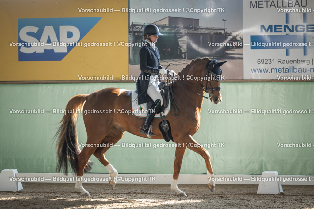 _D5A0060 | Emotionale Pferde- & People-Fotografie rund um Heidelberg, Leimen & Umgebung. Natürliche Fotos von Pferd, Mensch & Familie. Jetzt Termin sichern!