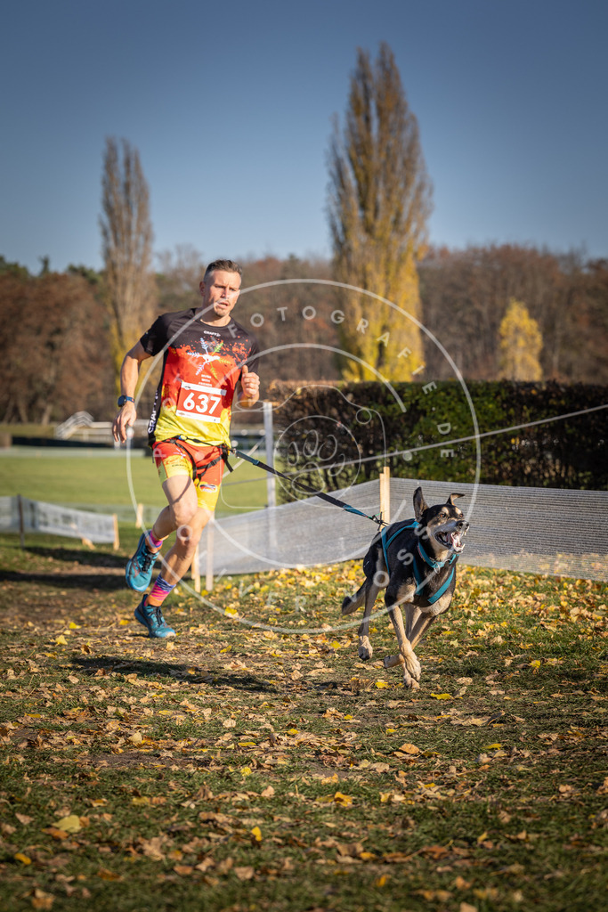 CaniXpix_DV3A0251 | Hundefotografie, Tierfotograf, Pfotenfotografie, Fotoshooting Hund, Hunde Portrait, Hundesport, Hundeportraits, Heideshooting, Hunde, Sportfotograf, Hundefotograf, Turnierhundsport, THS,  - Realisiert mit Pictrs.com