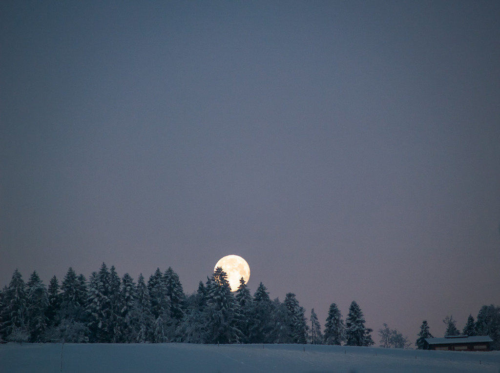 PSX_20230207_233225 | OLYMPUS DIGITAL CAMERA - Realisiert mit Pictrs.com