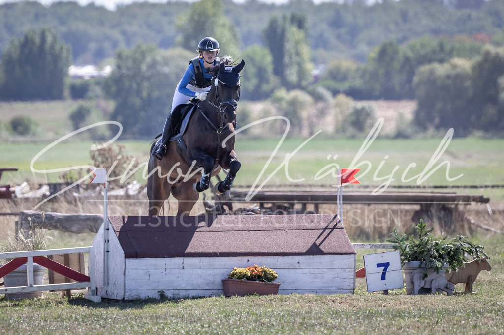 20260906-_3LI4096 | Tierfotografie Pferde, Hunde, Katzen, Haustiere.
Turnierfotografie Reitturniere, Reiten, Springreiten, Dressur in Hanau, dem Main-Kinzig-Kreis und dem Rhein-Main- Gebiet um Frankfurt