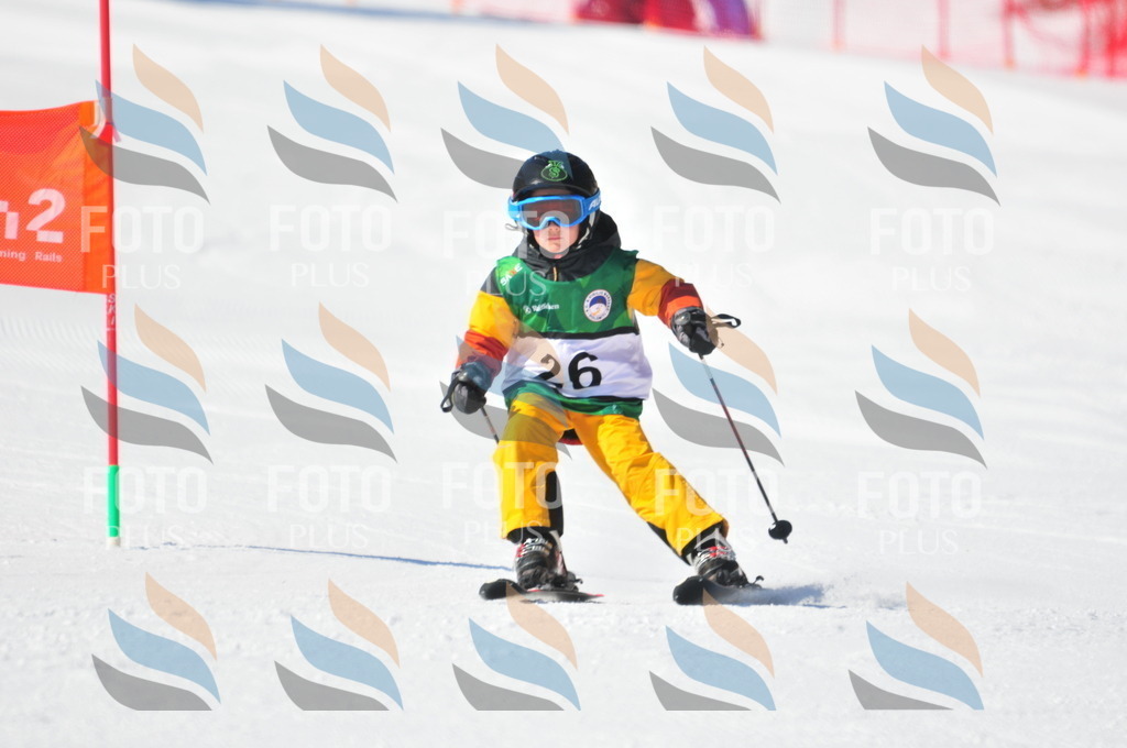 C2010 | holidayphoto