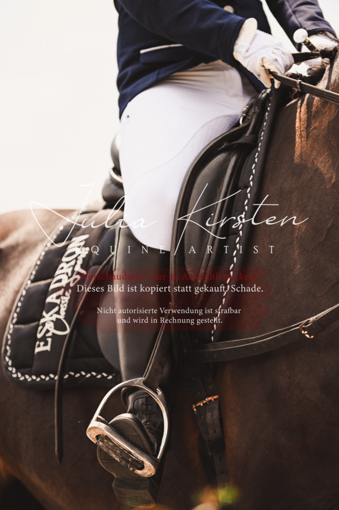 DSC_6340 | Pferde- und Turnierfotografie in Westsachsen. Pferdeportraits, Auftragszeichnungen und intuitive Kunst.