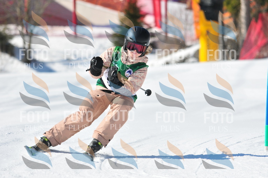 C3259 | holidayphoto