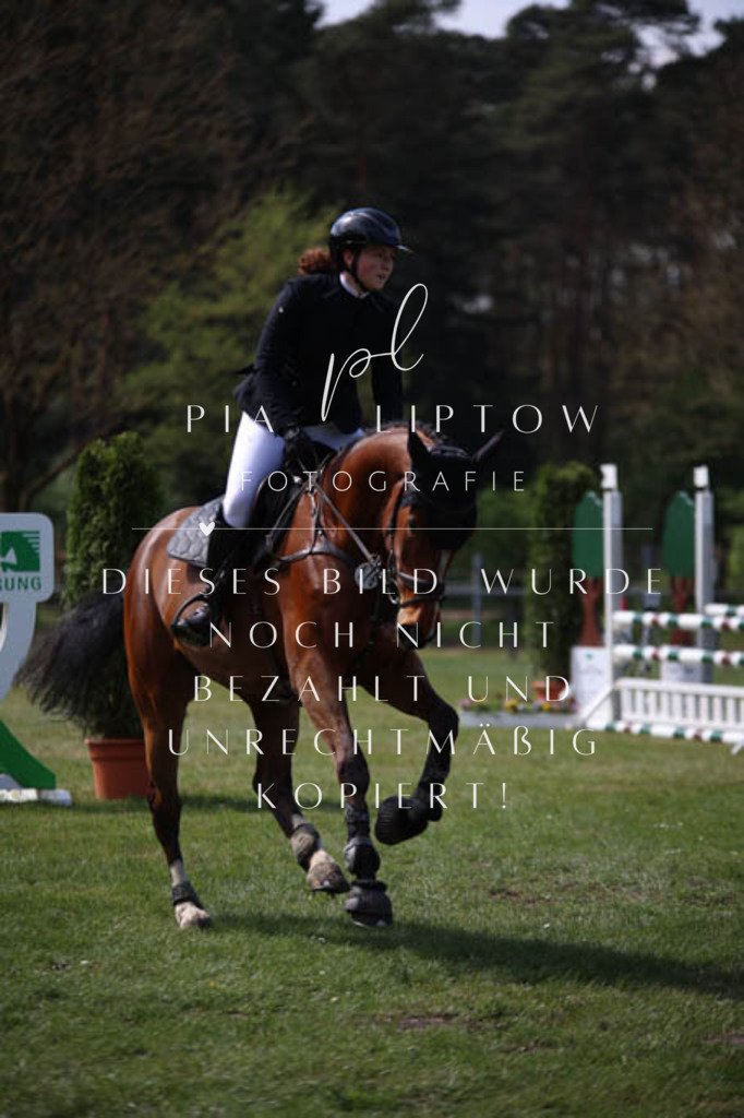 IMGT5399 | pl-fotografie