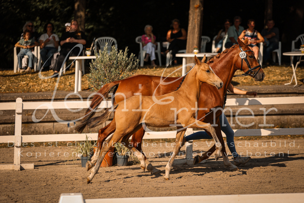 11.DoRP00142 | Leoni Ertmer Photography - Realisiert mit Pictrs.com