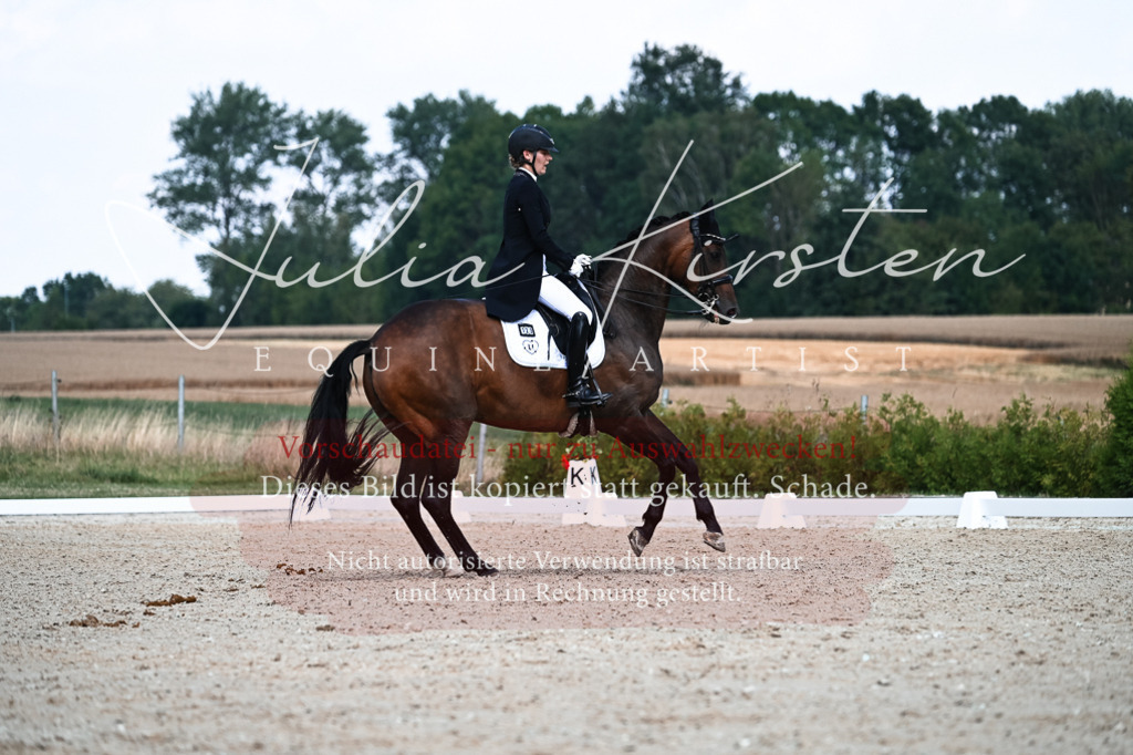 DSC_3104 | Pferde- und Turnierfotografie in Westsachsen. Pferdeportraits, Auftragszeichnungen und intuitive Kunst.