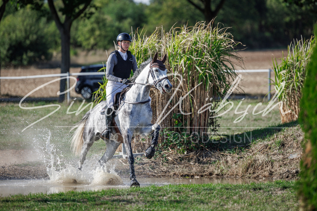 20260905-_3LI0447 | Tierfotografie Pferde, Hunde, Katzen, Haustiere.
Turnierfotografie Reitturniere, Reiten, Springreiten, Dressur in Hanau, dem Main-Kinzig-Kreis und dem Rhein-Main- Gebiet um Frankfurt