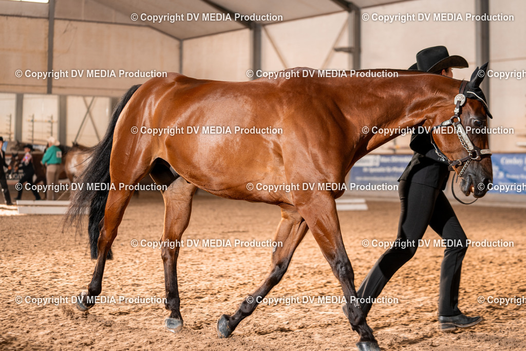 LM Heiligenwald Tag 1-11 | dv-media-shop - Realisiert mit Pictrs.com