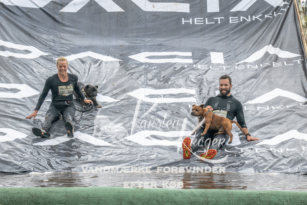 1415_ZZ94894 | kk-dogfotos