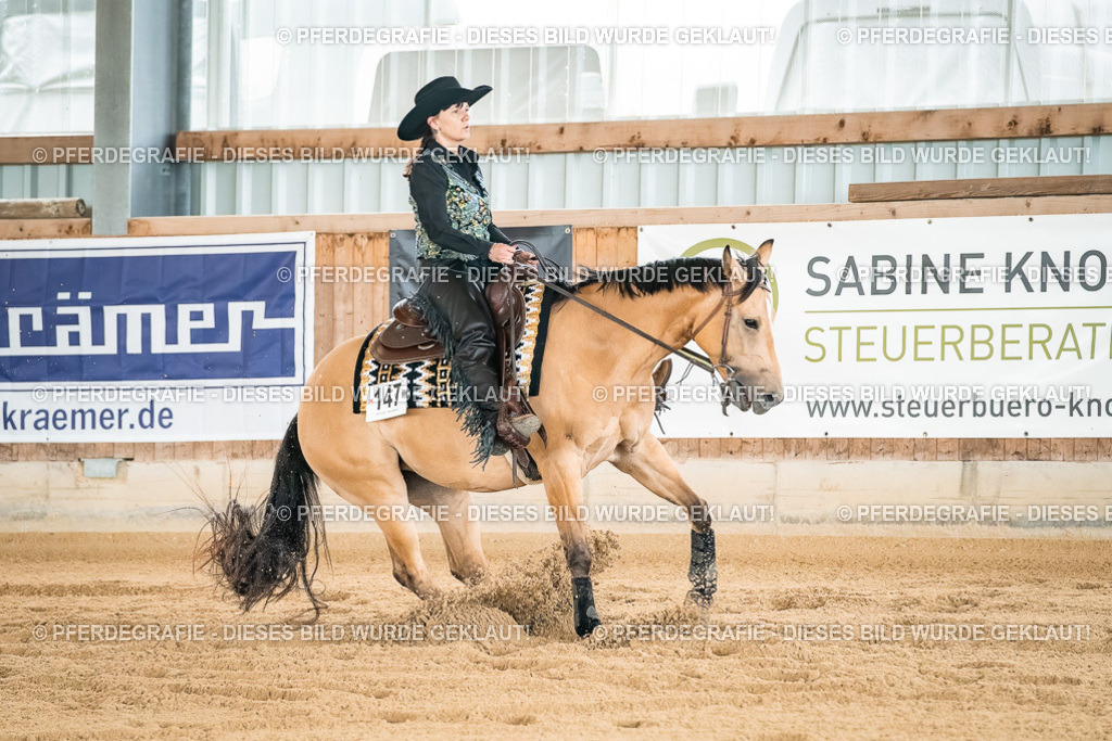 DSC02976 | Pferdegrafie