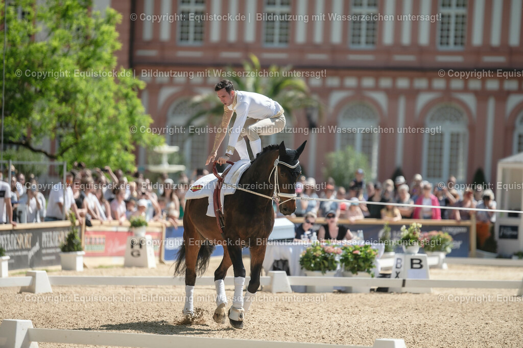 20230528_Voltigieren_NASPA_0180 | equistock