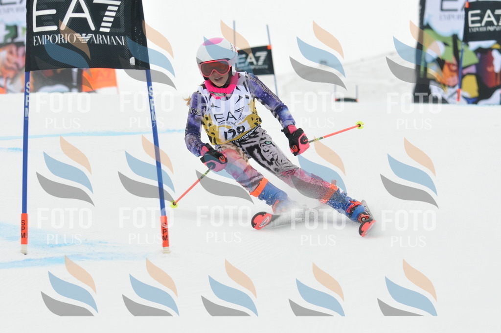 DSC_8279 | holidayphoto